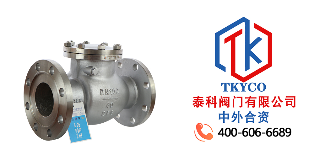 泰科閥門有限公司旋啟式止回閥的工作原理！